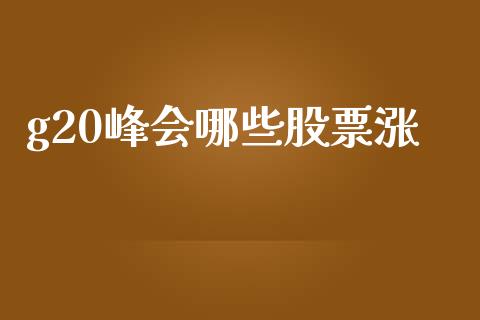 g20峰会哪些股票涨_https://wap.hpmsj.cn_期货交易_第1张