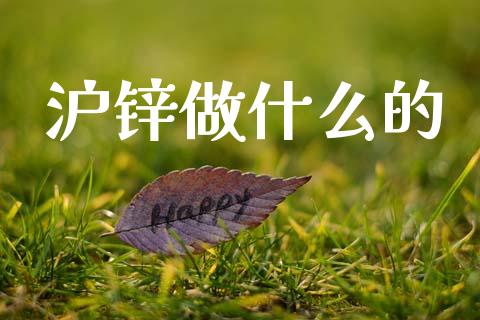 沪锌做什么的_金融机构_第1张_财经时评_基金分析_期货交易_金融机构_外汇汇率_债券投资 沪锌做什么的_https://wap.hpmsj.cn_金融机构_第1张