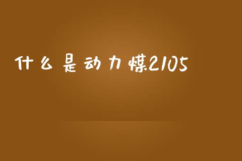 什么是动力煤2105_https://wap.hpmsj.cn_外汇汇率_第1张