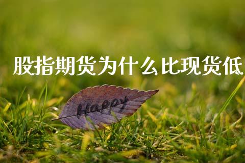 股指期货为什么比现货低_https://wap.hpmsj.cn_期货交易_第1张