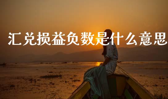 汇兑损益负数是什么意思_https://wap.hpmsj.cn_债券投资_第1张