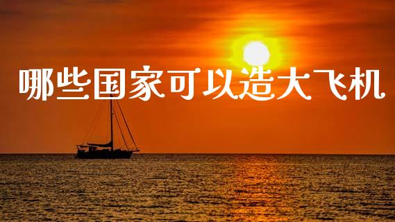 哪些国家可以造大飞机_https://wap.hpmsj.cn_外汇汇率_第1张