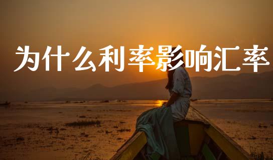 为什么利率影响汇率_https://wap.hpmsj.cn_外汇汇率_第1张