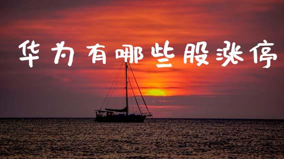 华为有哪些股涨停_https://wap.hpmsj.cn_财经时评_第1张