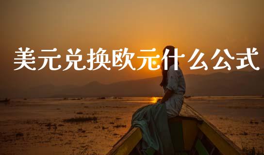 美元兑换欧元什么公式_https://wap.hpmsj.cn_财经时评_第1张