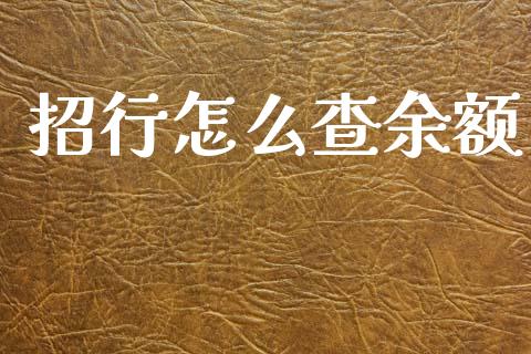 招行怎么查余额_https://wap.hpmsj.cn_基金分析_第1张
