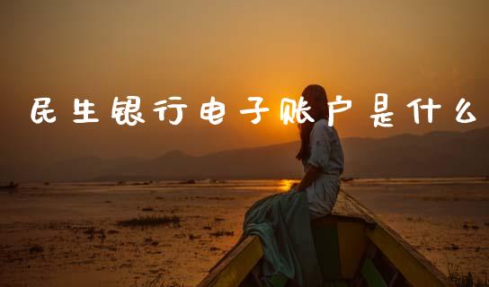 民生银行电子账户是什么_https://wap.hpmsj.cn_期货交易_第1张