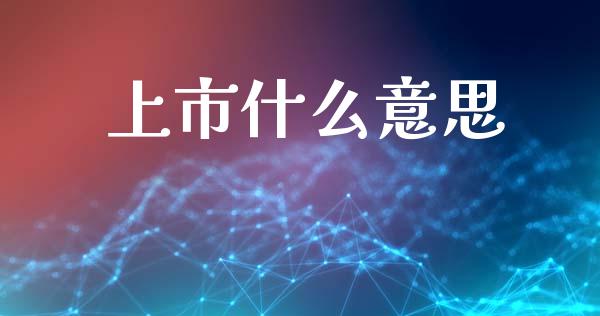 上市什么意思_https://wap.hpmsj.cn_财经时评_第1张