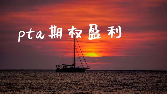 pta期权盈利_https://wap.hpmsj.cn_期货交易_第1张
