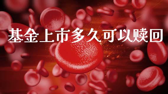 基金上市多久可以赎回_https://wap.hpmsj.cn_债券投资_第1张