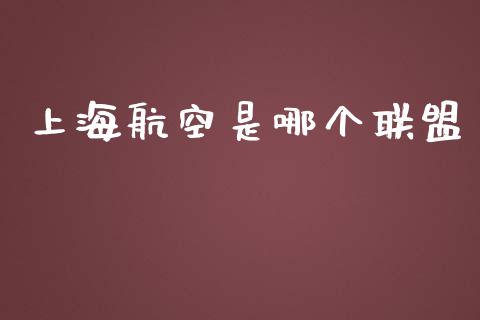 上海航空是哪个联盟_https://wap.hpmsj.cn_财经时评_第1张
