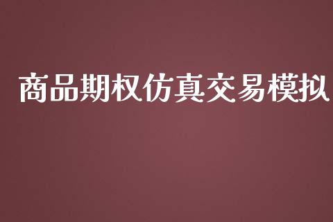 商品期权仿真交易模拟_https://wap.hpmsj.cn_金融机构_第1张
