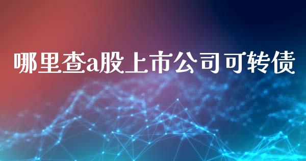 哪里查a股上市公司可转债_https://wap.hpmsj.cn_财经时评_第1张