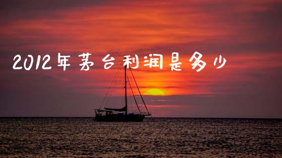 2012年茅台利润是多少_https://wap.hpmsj.cn_基金分析_第1张
