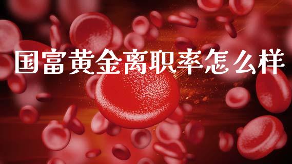 国富黄金离职率怎么样_https://wap.hpmsj.cn_财经时评_第1张