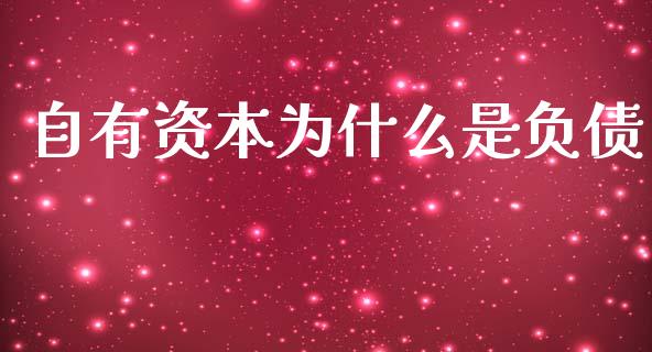 自有资本为什么是负债_https://wap.hpmsj.cn_金融机构_第1张