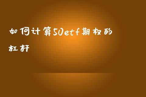 如何计算50etf期权的杠杆_https://wap.hpmsj.cn_债券投资_第1张