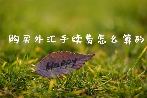 购买外汇手续费怎么算的_https://wap.hpmsj.cn_外汇汇率_第1张