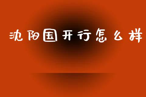 沈阳国开行怎么样_https://wap.hpmsj.cn_金融机构_第1张