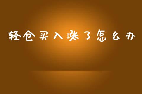 轻仓买入涨了怎么办_https://wap.hpmsj.cn_财经时评_第1张