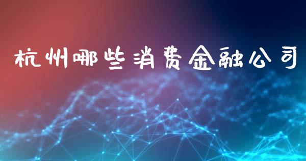 杭州哪些消费金融公司_https://wap.hpmsj.cn_金融机构_第1张