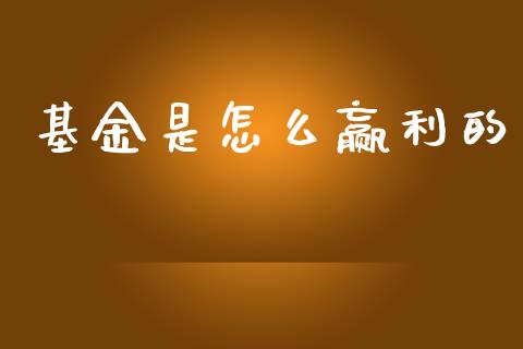 基金是怎么赢利的_https://wap.hpmsj.cn_基金分析_第1张