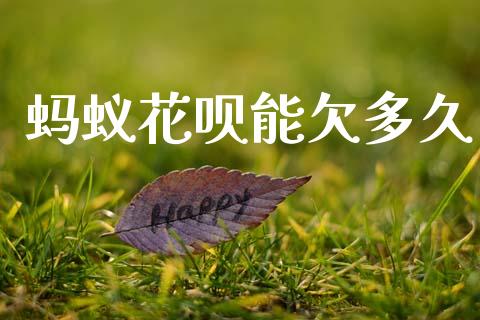 蚂蚁花呗能欠多久_https://wap.hpmsj.cn_基金分析_第1张