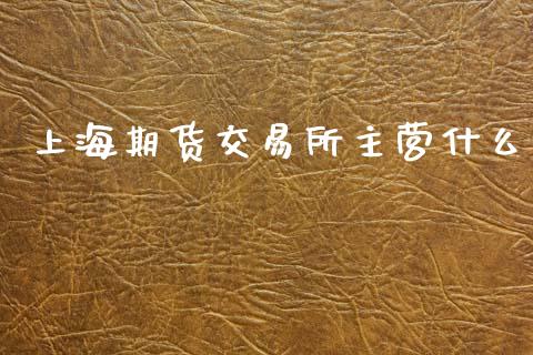 上海期货交易所主营什么_https://wap.hpmsj.cn_外汇汇率_第1张