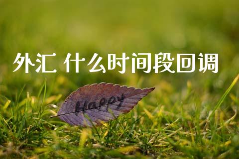 外汇 什么时间段回调_https://wap.hpmsj.cn_金融机构_第1张