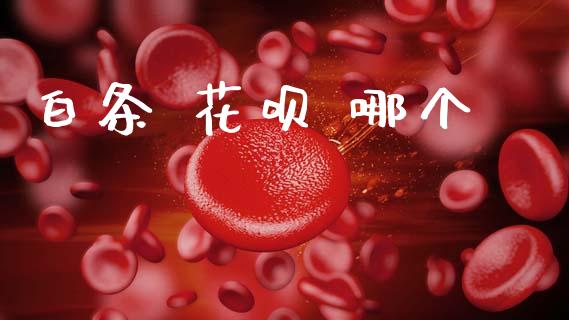 白条 花呗 哪个_https://wap.hpmsj.cn_期货交易_第1张