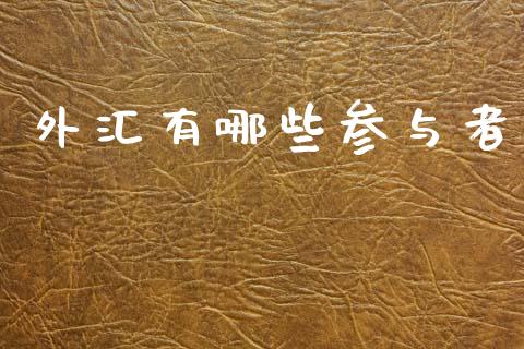 外汇有哪些参与者_https://wap.hpmsj.cn_财经时评_第1张