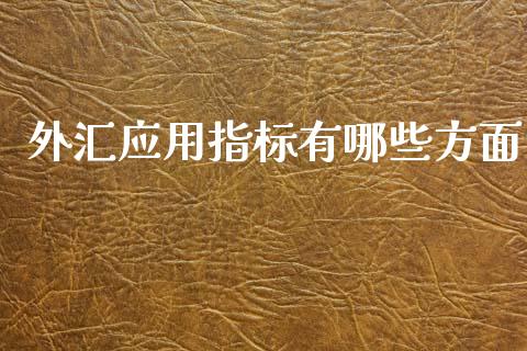 外汇应用指标有哪些方面_https://wap.hpmsj.cn_期货交易_第1张