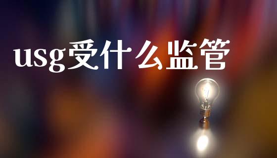 usg受什么监管_https://wap.hpmsj.cn_外汇汇率_第1张