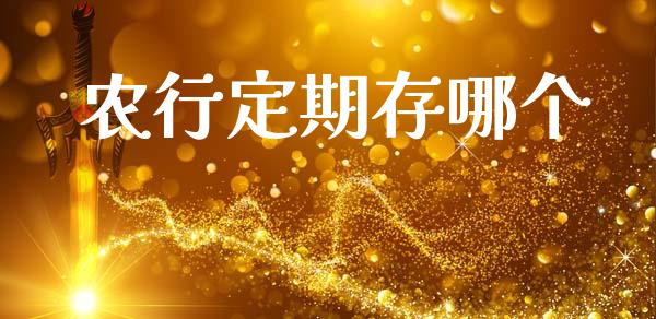 农行定期存哪个_https://wap.hpmsj.cn_外汇汇率_第1张