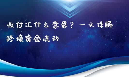 收付汇什么意思？一文详解跨境资金流动_https://wap.hpmsj.cn_债券投资_第1张