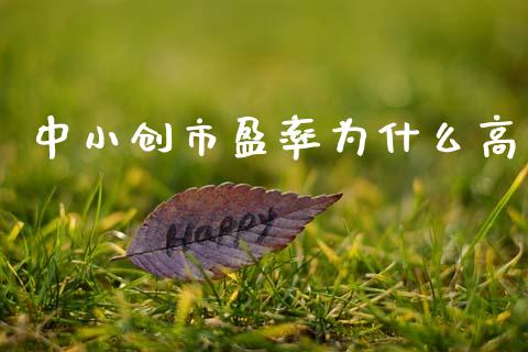 中小创市盈率为什么高_https://wap.hpmsj.cn_债券投资_第1张