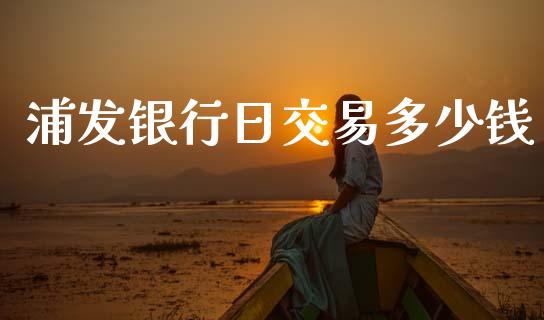 浦发银行日交易多少钱_https://wap.hpmsj.cn_基金分析_第1张