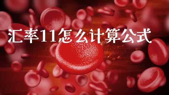 汇率11怎么计算公式_https://wap.hpmsj.cn_基金分析_第1张
