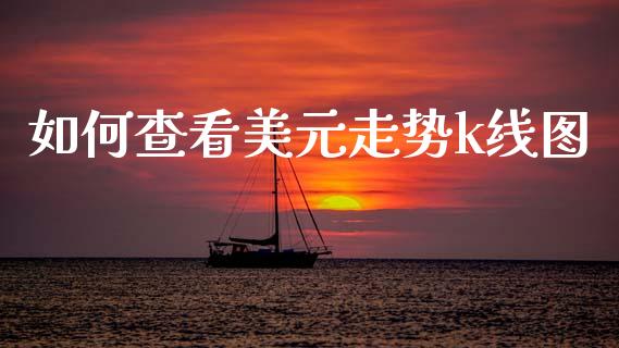 如何查看美元走势k线图_https://wap.hpmsj.cn_基金分析_第1张