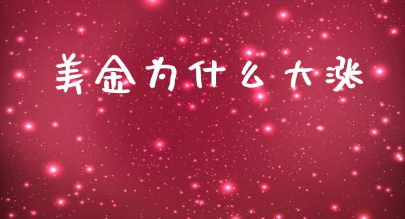 美金为什么大涨_https://wap.hpmsj.cn_外汇汇率_第1张