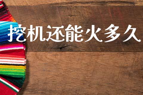 挖机还能火多久_https://wap.hpmsj.cn_财经时评_第1张