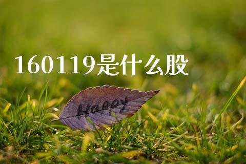 160119是什么股_https://wap.hpmsj.cn_财经时评_第1张