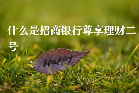 什么是招商银行尊享理财二号_https://wap.hpmsj.cn_外汇汇率_第1张