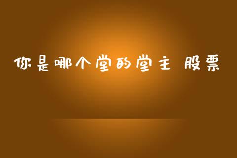 你是哪个堂的堂主 股票_https://wap.hpmsj.cn_基金分析_第1张