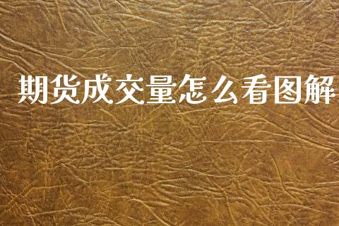期货成交量怎么看图解_https://wap.hpmsj.cn_财经时评_第1张