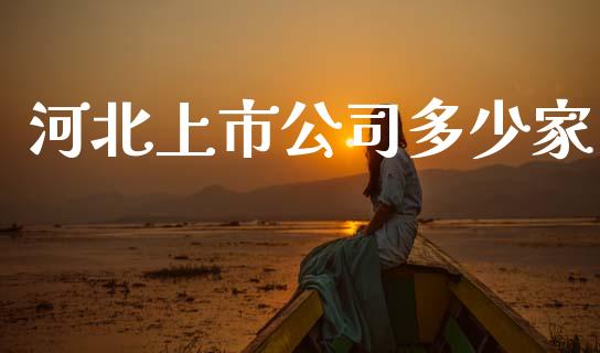 河北上市公司多少家_https://wap.hpmsj.cn_外汇汇率_第1张
