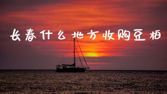 长春什么地方收购豆柏_https://wap.hpmsj.cn_期货交易_第1张