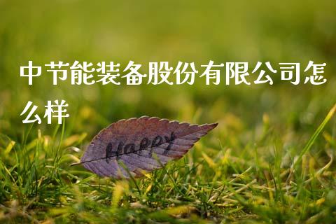 中节能装备股份有限公司怎么样_https://wap.hpmsj.cn_金融机构_第1张