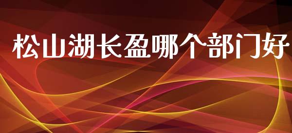 松山湖长盈哪个部门好_https://wap.hpmsj.cn_债券投资_第1张
