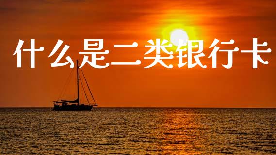 什么是二类银行卡_https://wap.hpmsj.cn_基金分析_第1张